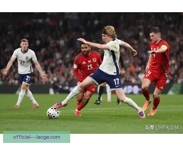 2026世界杯北美主办方确认引入混合草坪系统提升赛事质量 2026世界杯北美主办方确认引入混合草坪系统提升赛事质量